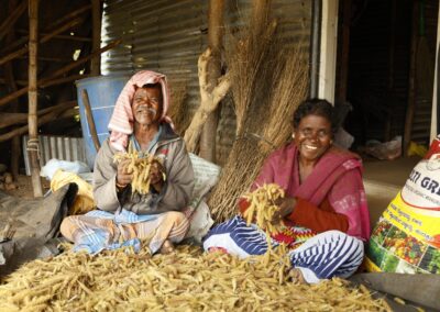 Sustainable Agriculture & Farmer Livelihoods